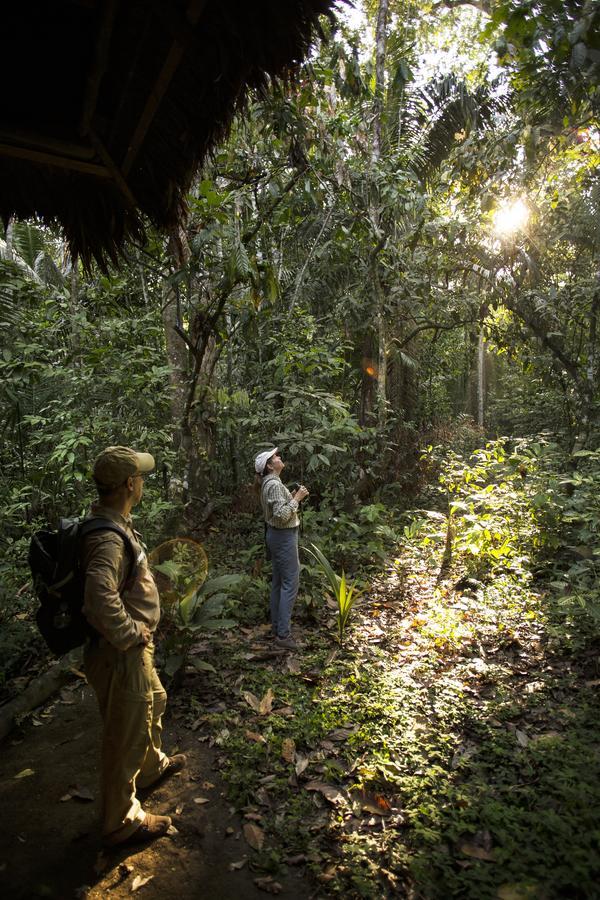 Amazon Field Station Byinkaterra Hostel Puerto Maldonado Buitenkant foto